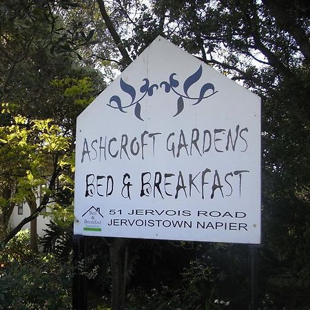 Ashcroft Gardens Bed & Breakfast Нейпир Экстерьер фото